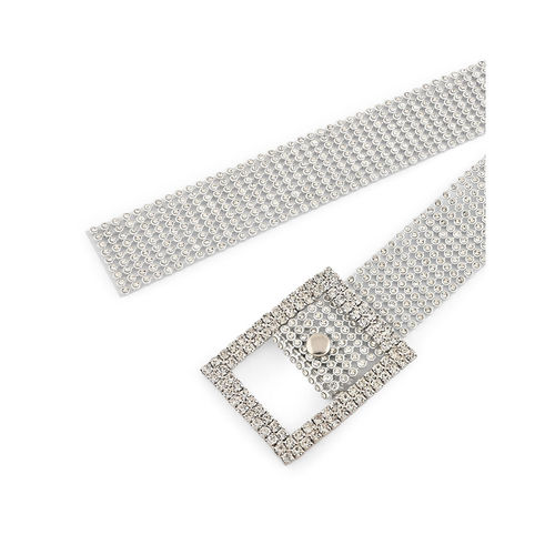 Buy Fida Women Silver Plastic Embellished Saree Belts White Online