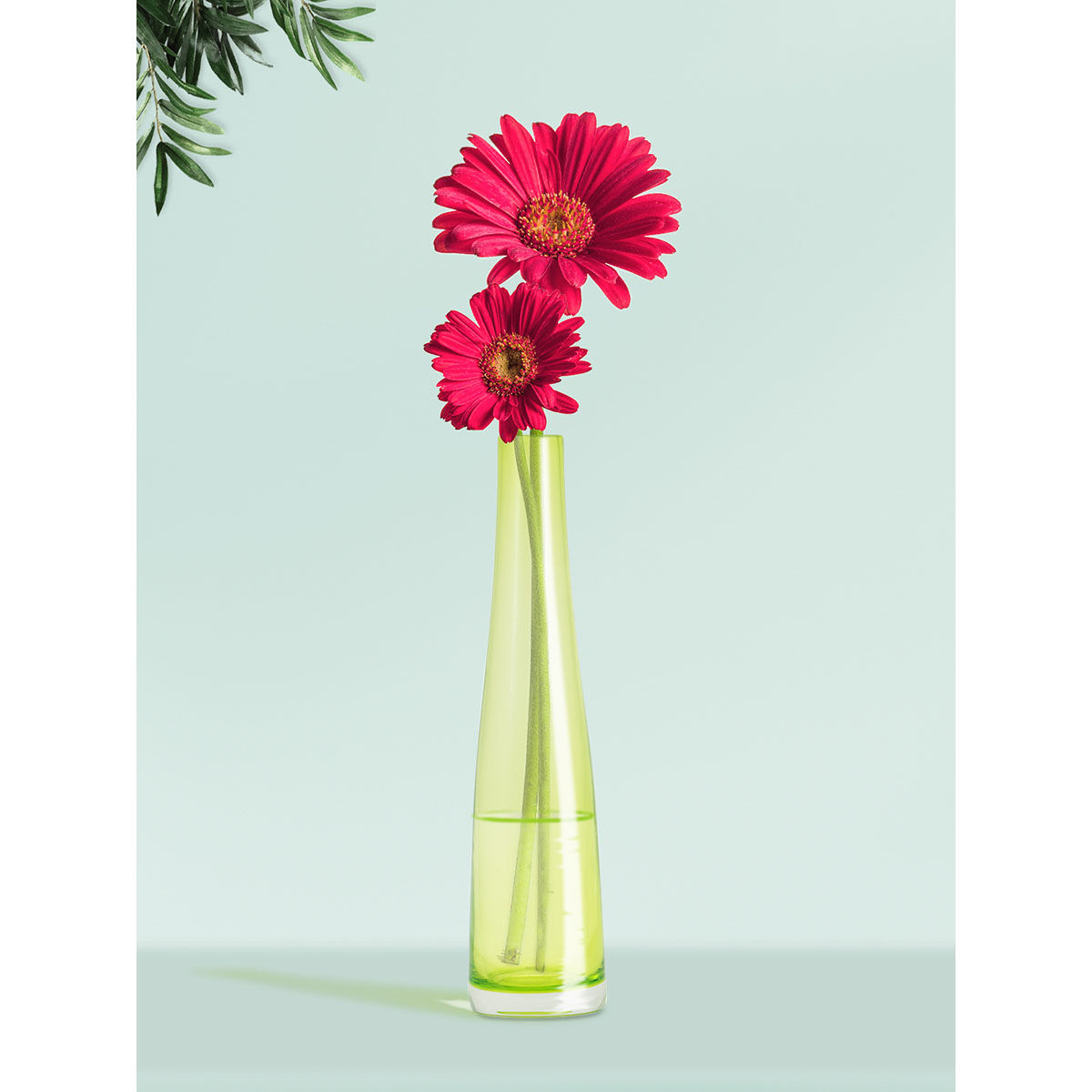 Buy NATURALLY YOURS Green Glasswares Vase Online