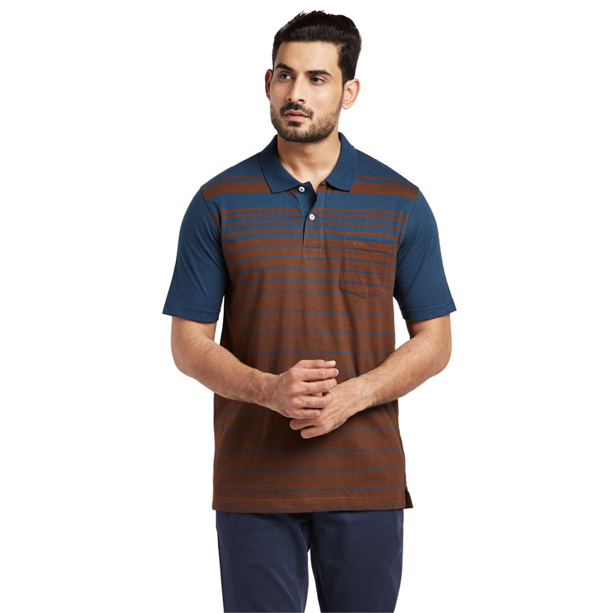ColorPlus Dark Brown Striped T-Shirt (S)
