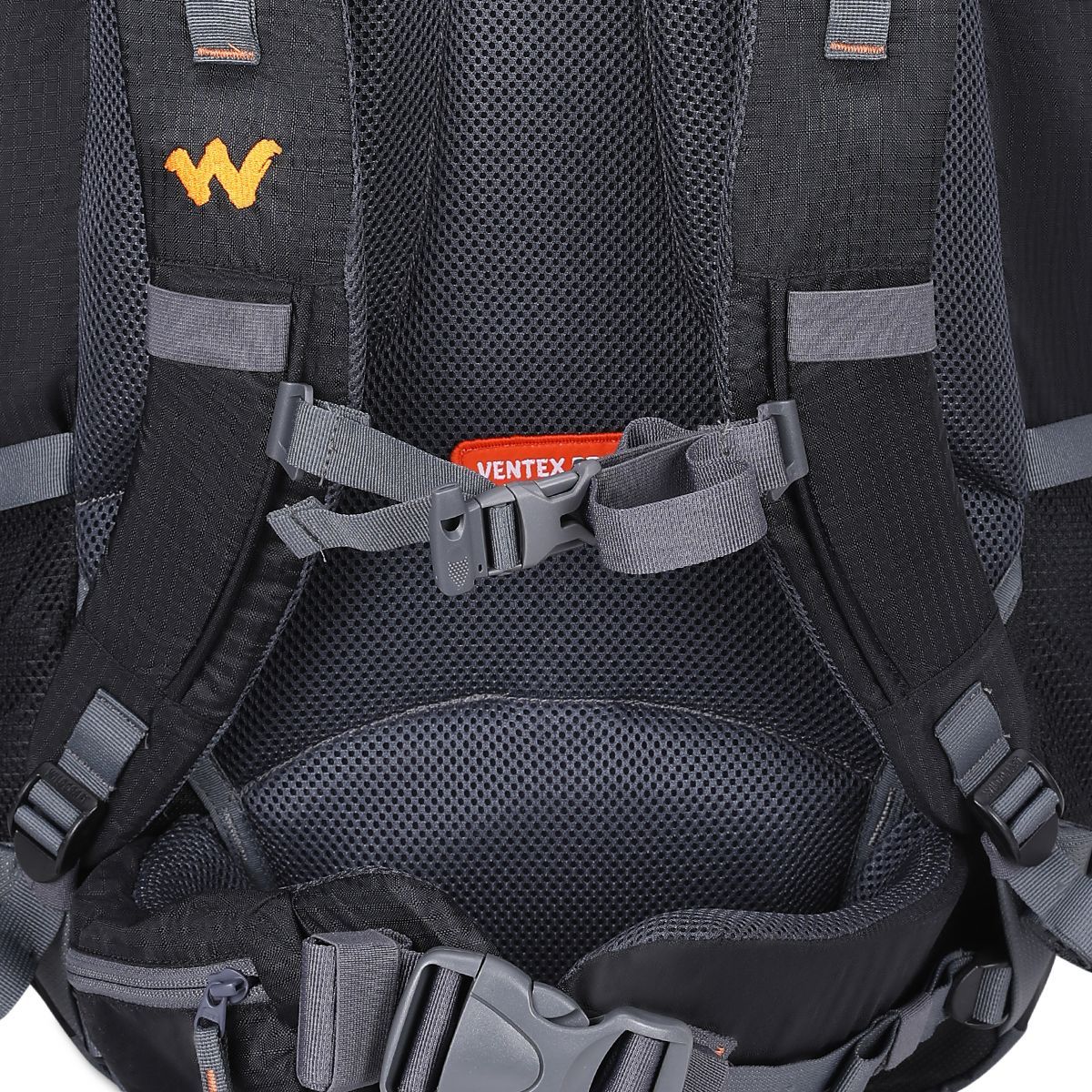Buy Wildcraft Trailblazer 50 Travel Backpack Online