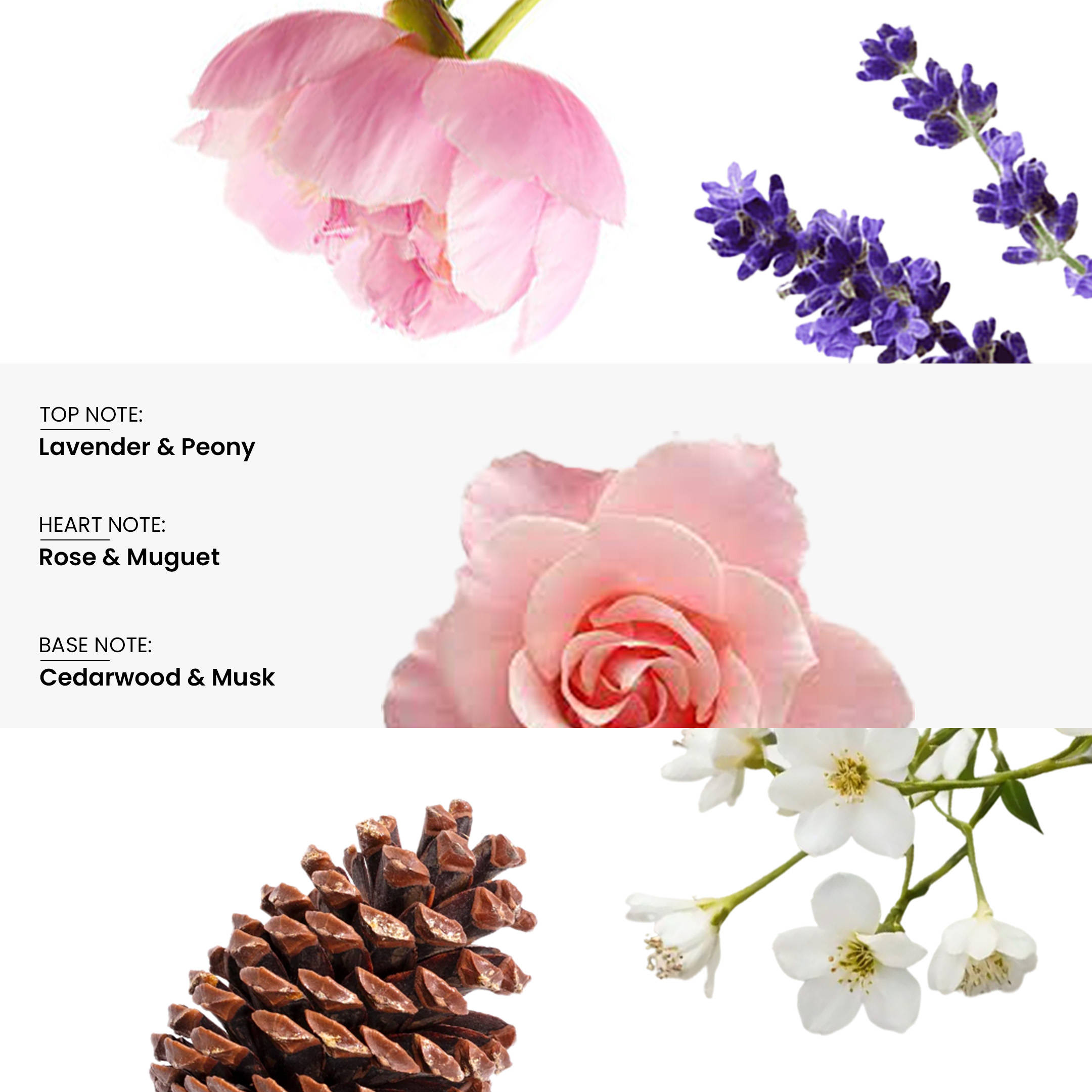 Layer'r Wottagirl! Flora Eau De Parfum - view 4