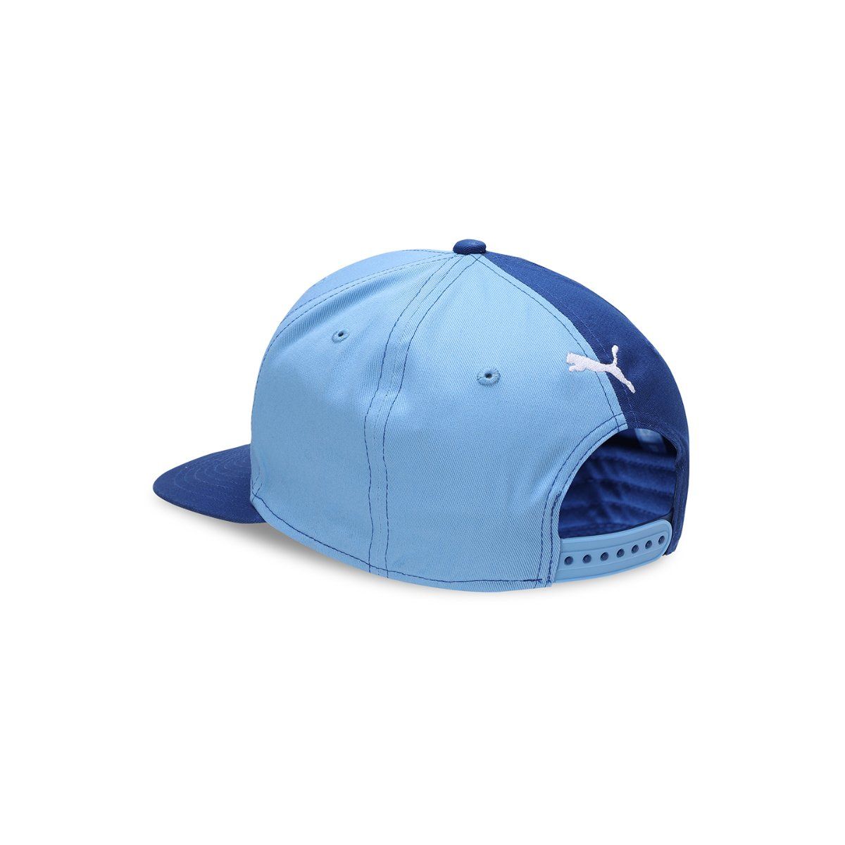 Buy Puma Basketball Pro FB Unisex Blue Cap Online