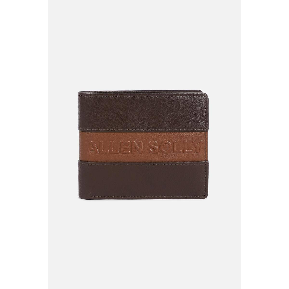 Allen Solly Men Brown Colorblock Leather Wallet