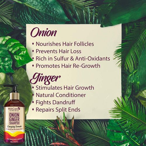 WishCare Onion Ginger Hair Kit-Onion Shampoo, Conditioner & Hair Growth  Oil-Paraben & Sulphate Free: Buy WishCare Onion Ginger Hair Kit-Onion  Shampoo, Conditioner & Hair Growth Oil-Paraben & Sulphate Free Online at  Best