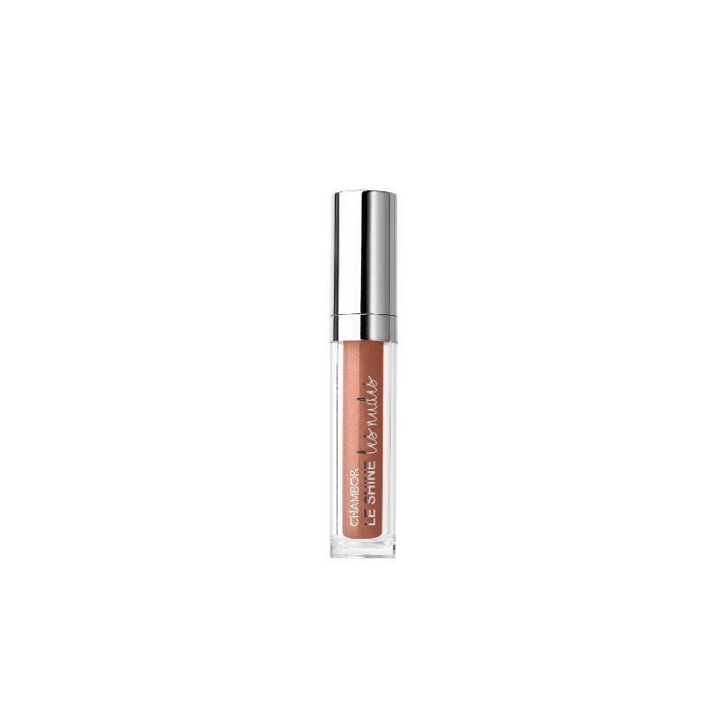 Chambor Le Shine Les Nudes Lip Gloss Nude Dimension Buy Chambor Le