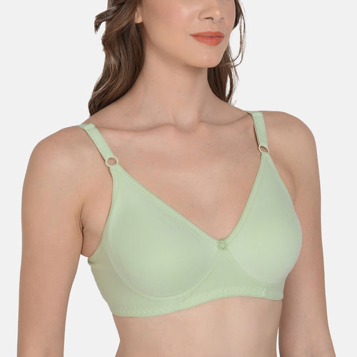 Pack of 2 - Padded Wired Solid T-Shirt Bra