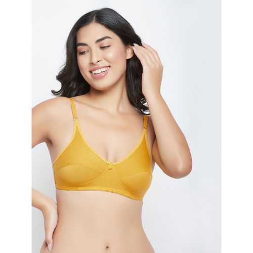Buy Clovia Pack Of 2 Cotton Non-Padded Non-Wired Full Cup Bra - Multi-Color  Online