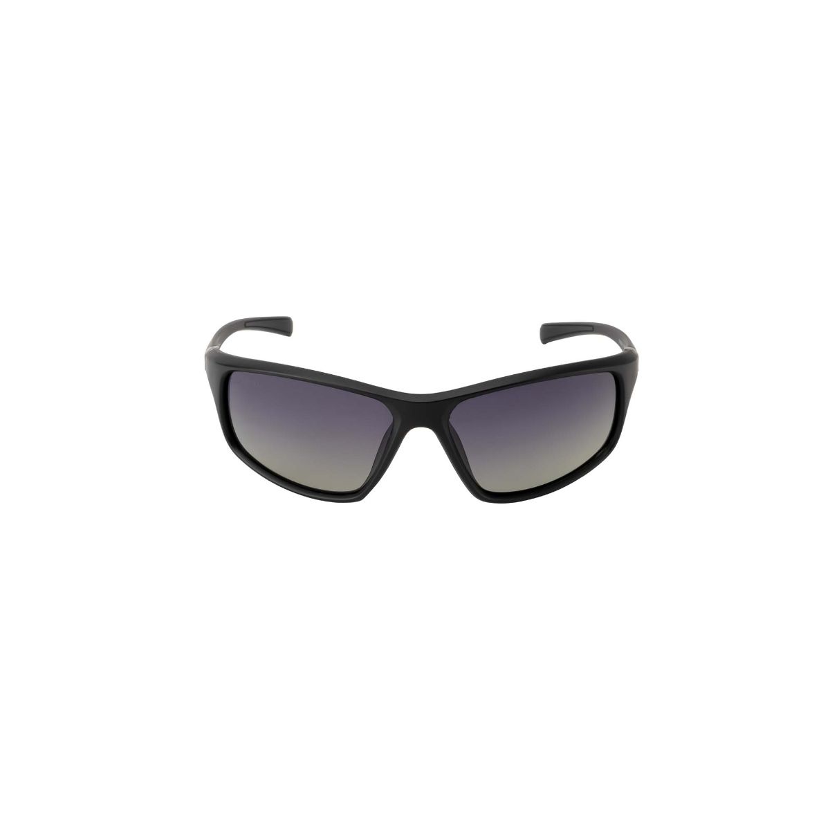 ted smith sunglasses price