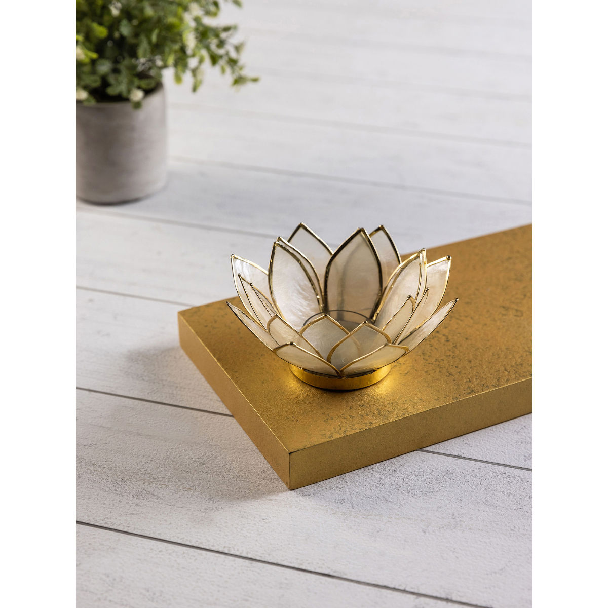 Pure Home + Living 21 Petals Glowing Beige Lotus Tea Light Holder Buy Pure Home + Living 21