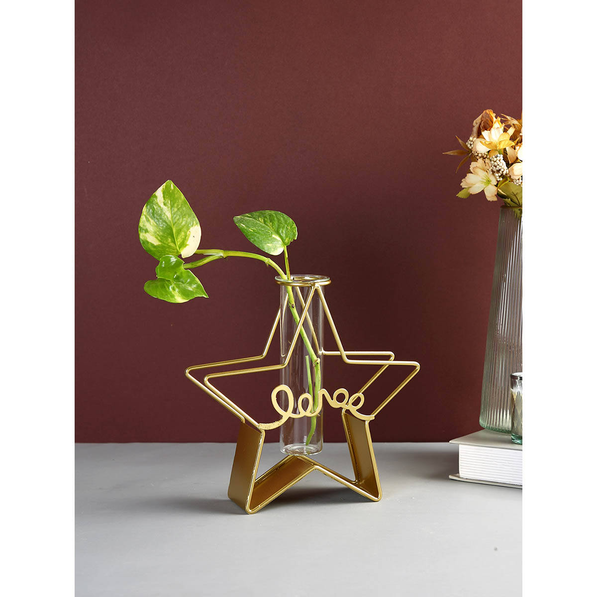 Tayhaa Transparent Metal & Glass Star Shaped Flower Vase