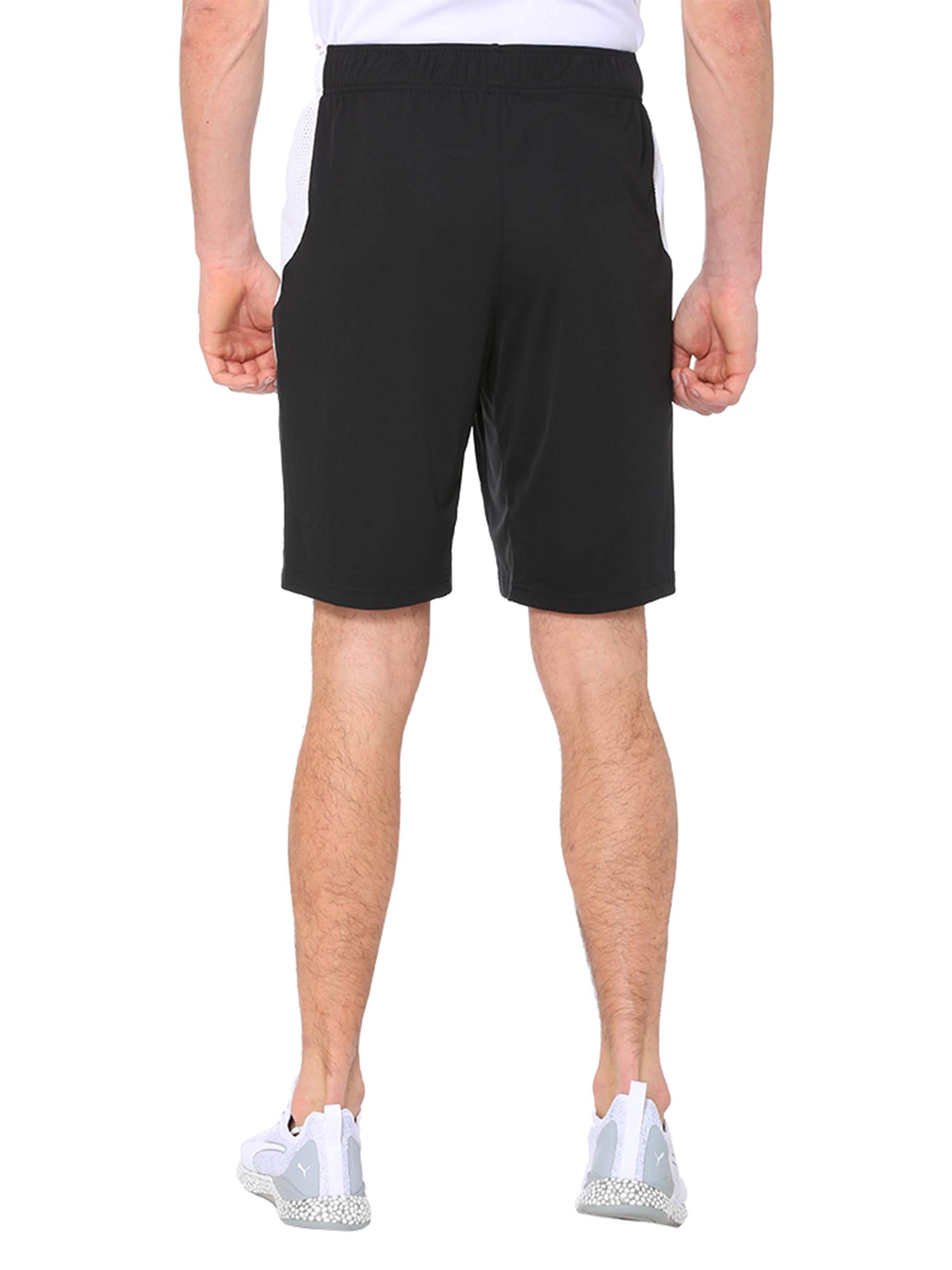 Puma 2024 energy shorts