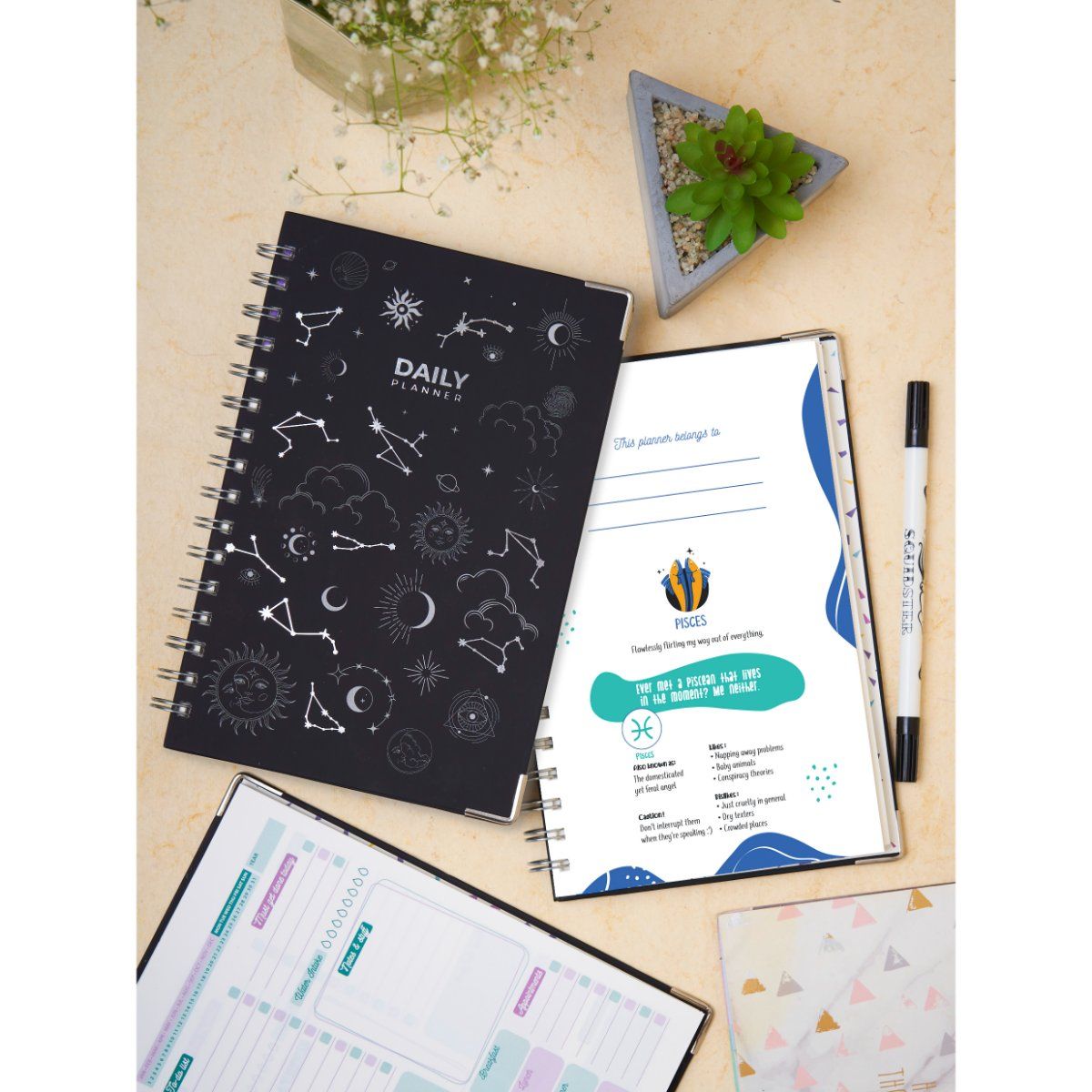 Doodle Collection Doodle Zodiac Pisces A5 Daily Planner: Buy Doodle  Collection Doodle Zodiac Pisces A5 Daily Planner Online at Best Price in  India