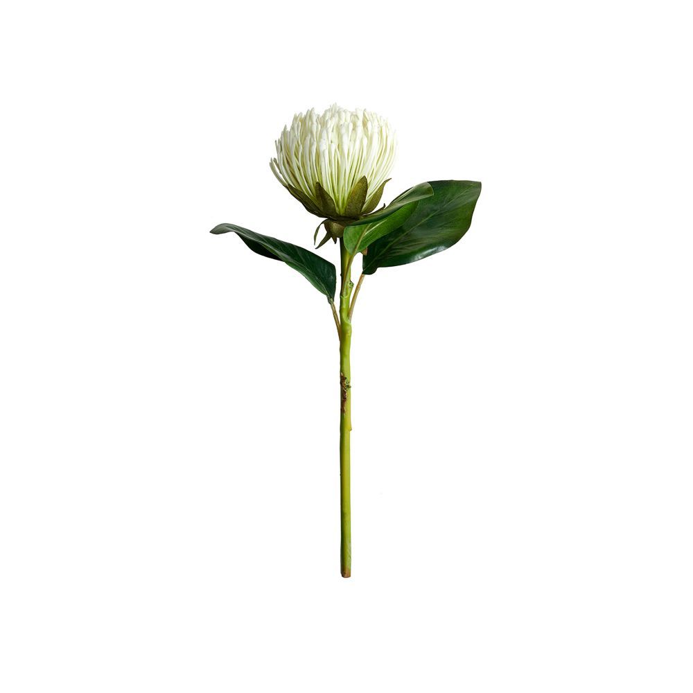 Buy Pure Home + Living WHITE PIN CUSHION PROTEA STEM Online