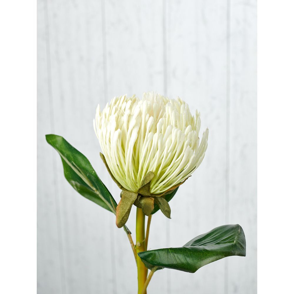 Buy Pure Home + Living WHITE PIN CUSHION PROTEA STEM Online