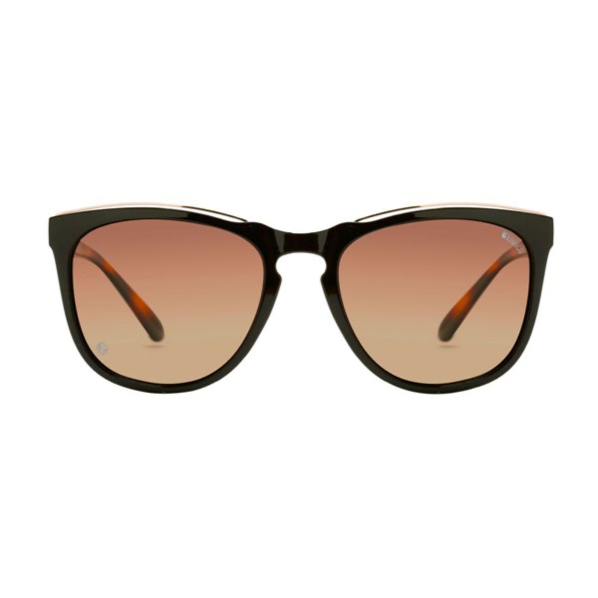Enrico Sapphire Brown UV protected Polarized Female Sunglasses