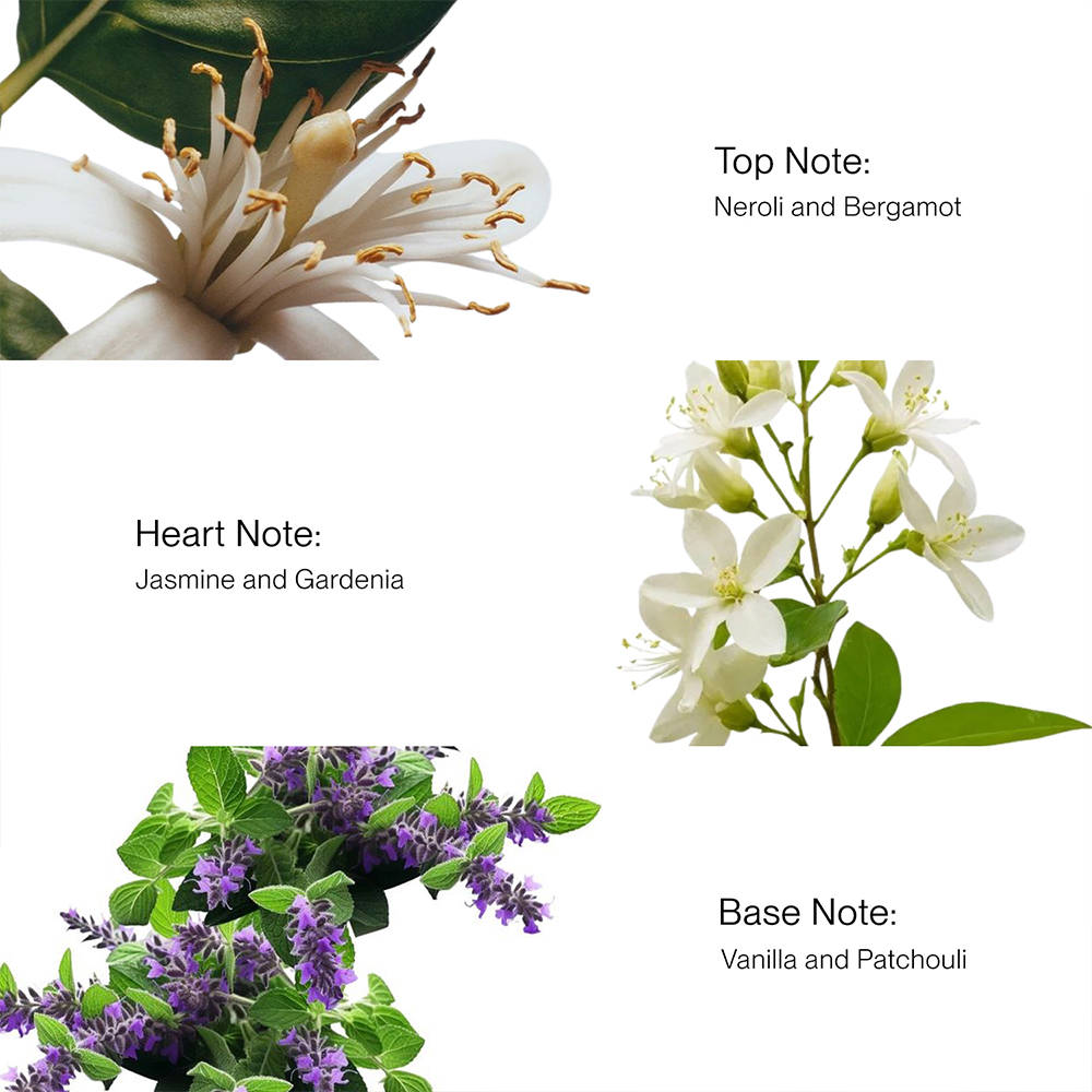 product image6