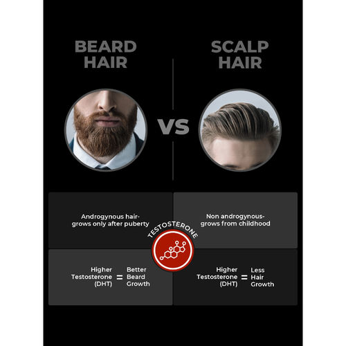 Beardo Beard and Hair Growth Oil, | Beard Oil For Patchy Beards | For thicker looking beards: Buy Beardo Beard and Hair Growth Oil, | Beard Oil For Patchy Beards | For Beardo Beard and Hair Growth Oil, | Beard Oil For Patchy Beards | For thicker looking beards: Buy Beardo Beard and Hair Growth Oil, | Beard Oil For Patchy Beards | For