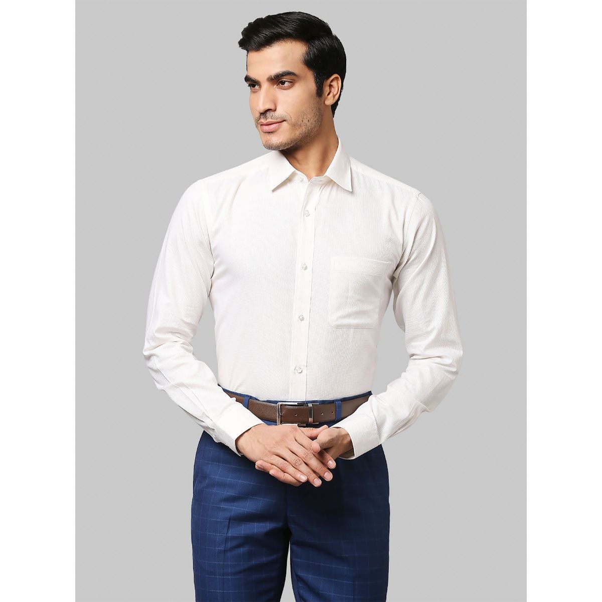 Raymond plain shirts online