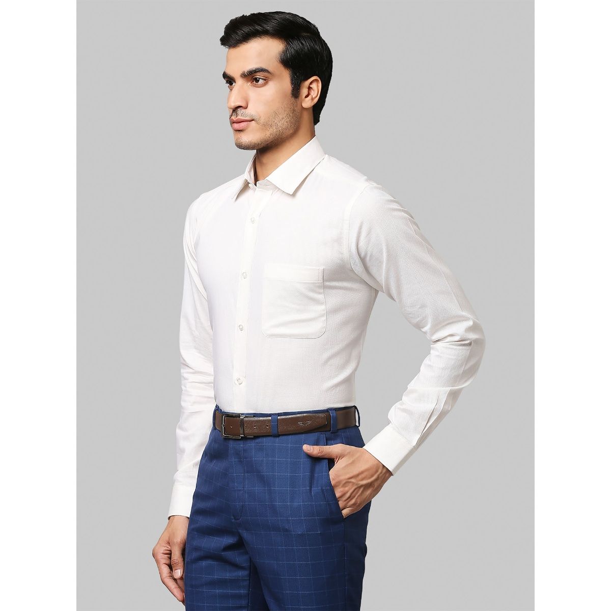 Raymond plain shirts store