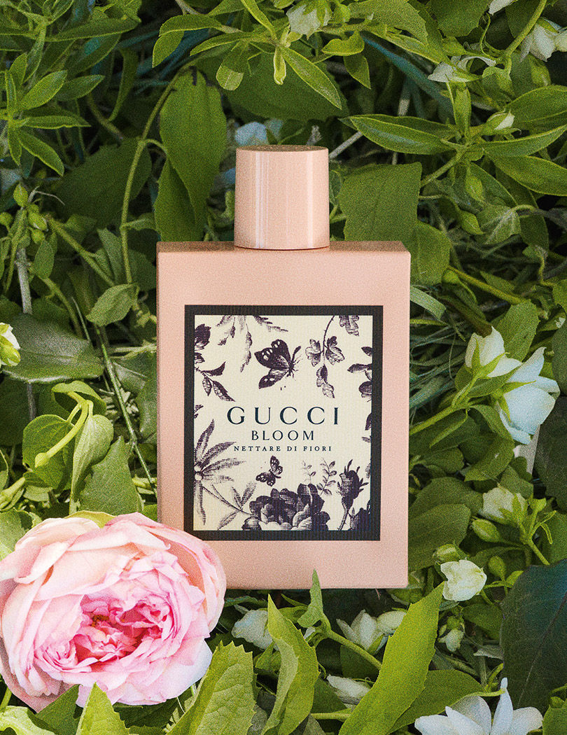 Упаковка Gucci Bloom