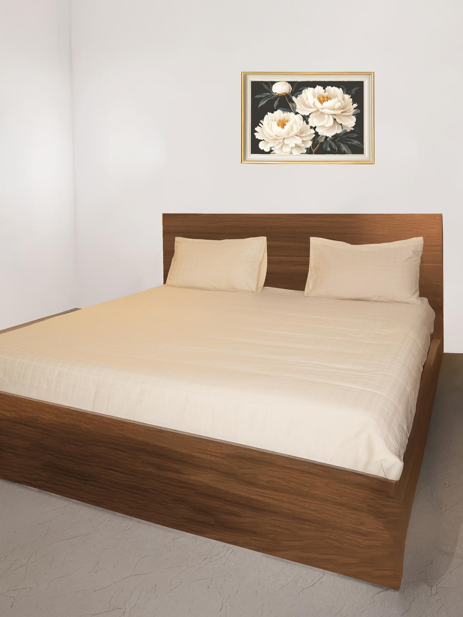Buy Oyvu Beige Cotton 300 TC Queen Flat Bedsheet with 2 Pillow