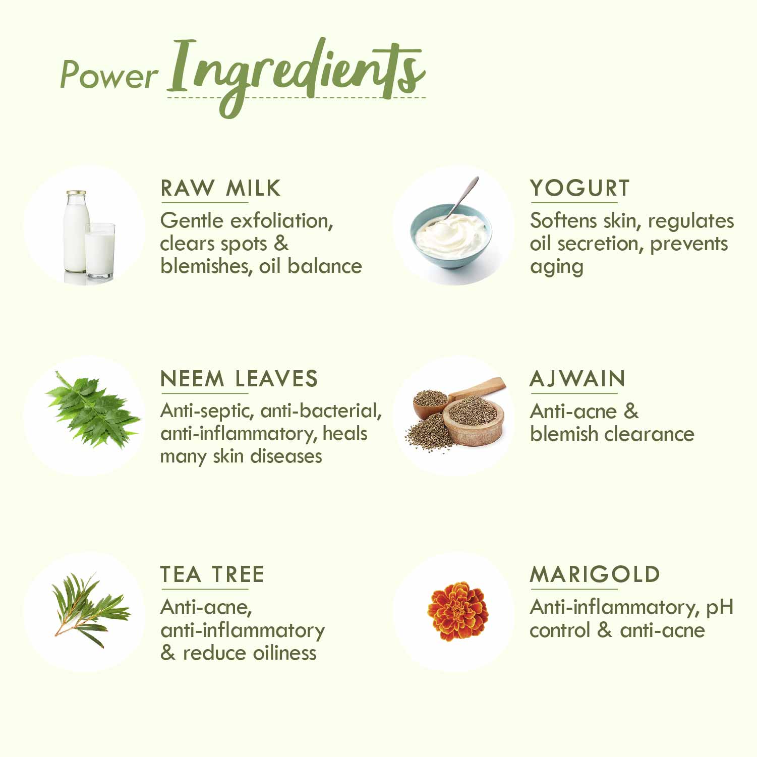 Nat Habit Fresh Neem Ajwain Ksheer Lepa Ayurvedic Face Pack Buy Nat