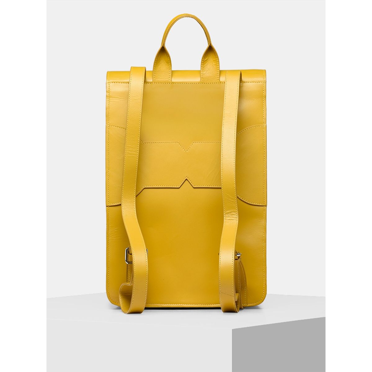 Buy Tiger Marron Still At Coachella Backpack Online