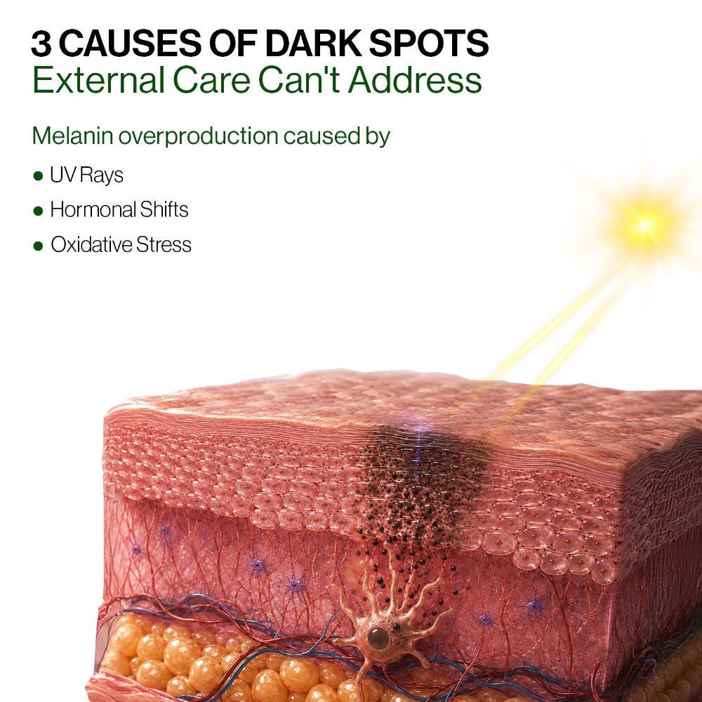 product image8