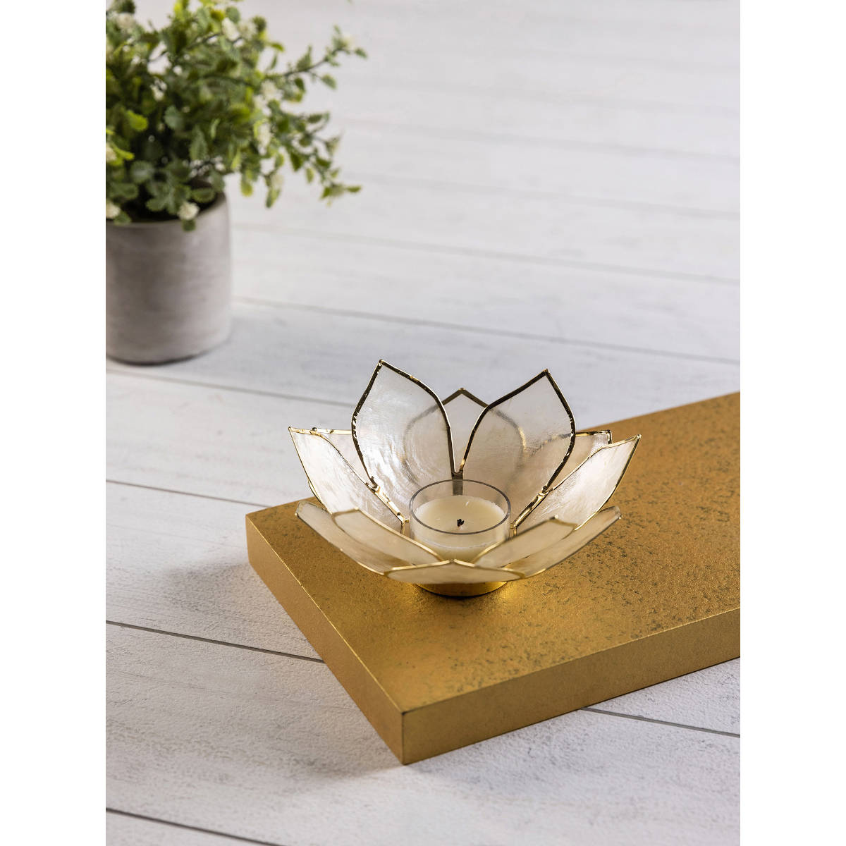 Buy Pure Home + Living Set of 2 12 Petals Beige Tea light Holder Online
