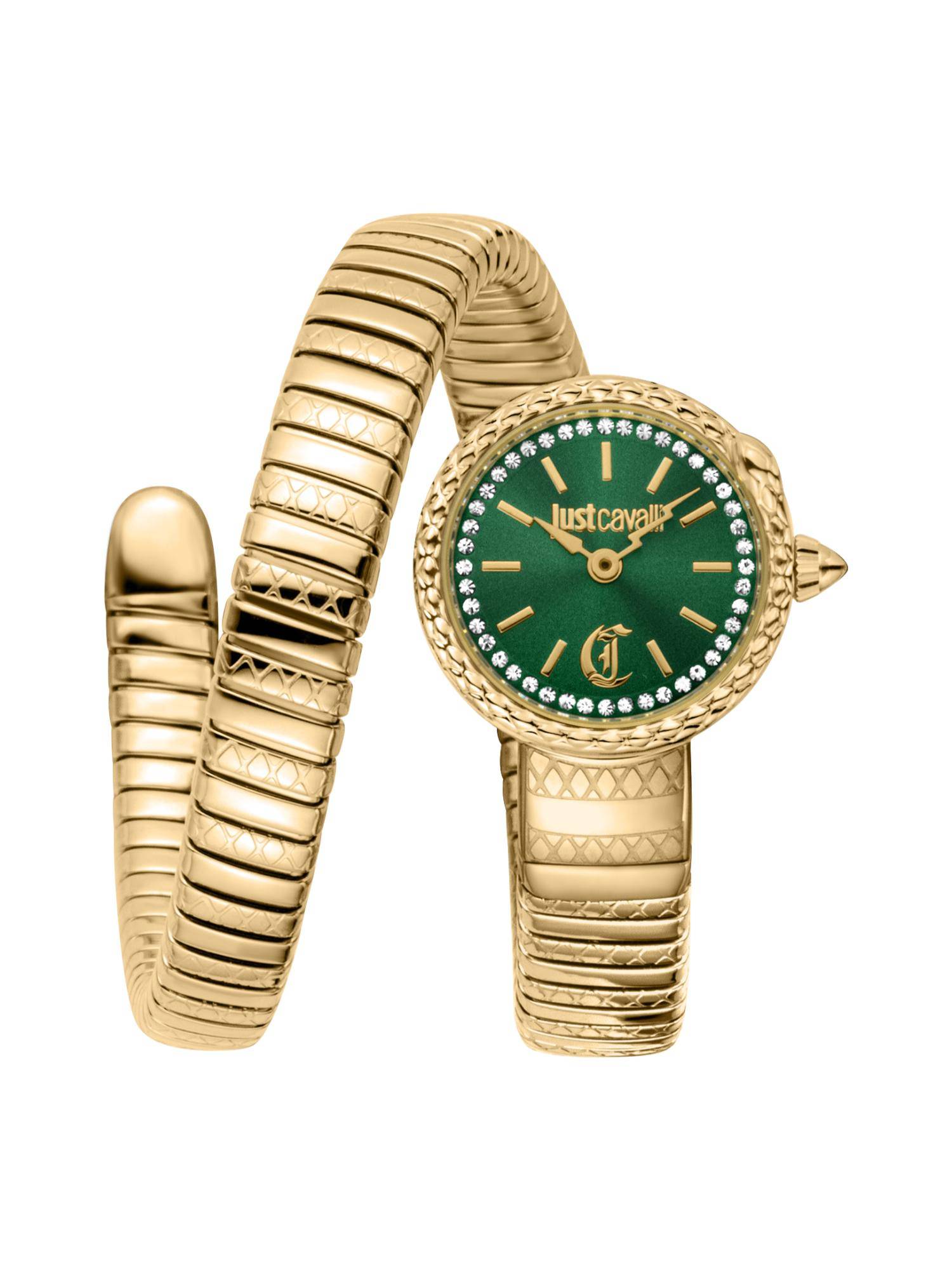 Just Cavalli Women Sirena Green Dial Analog Watch - JC1L351M0035 (M)