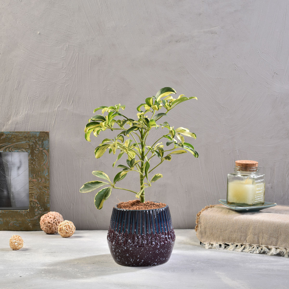 product image3