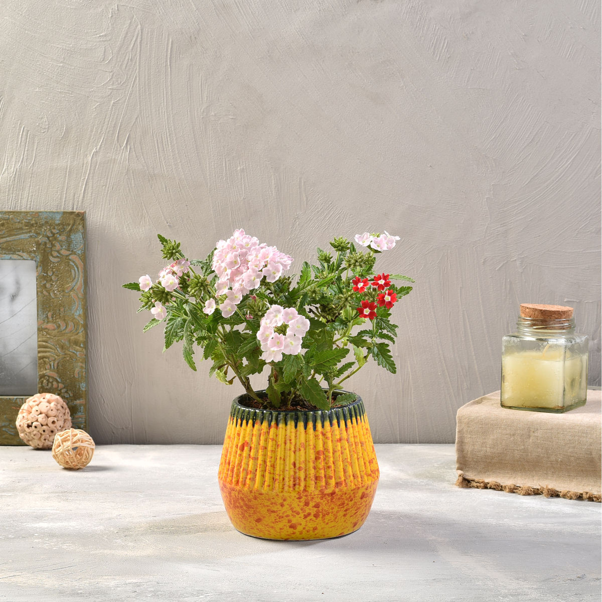 product image4