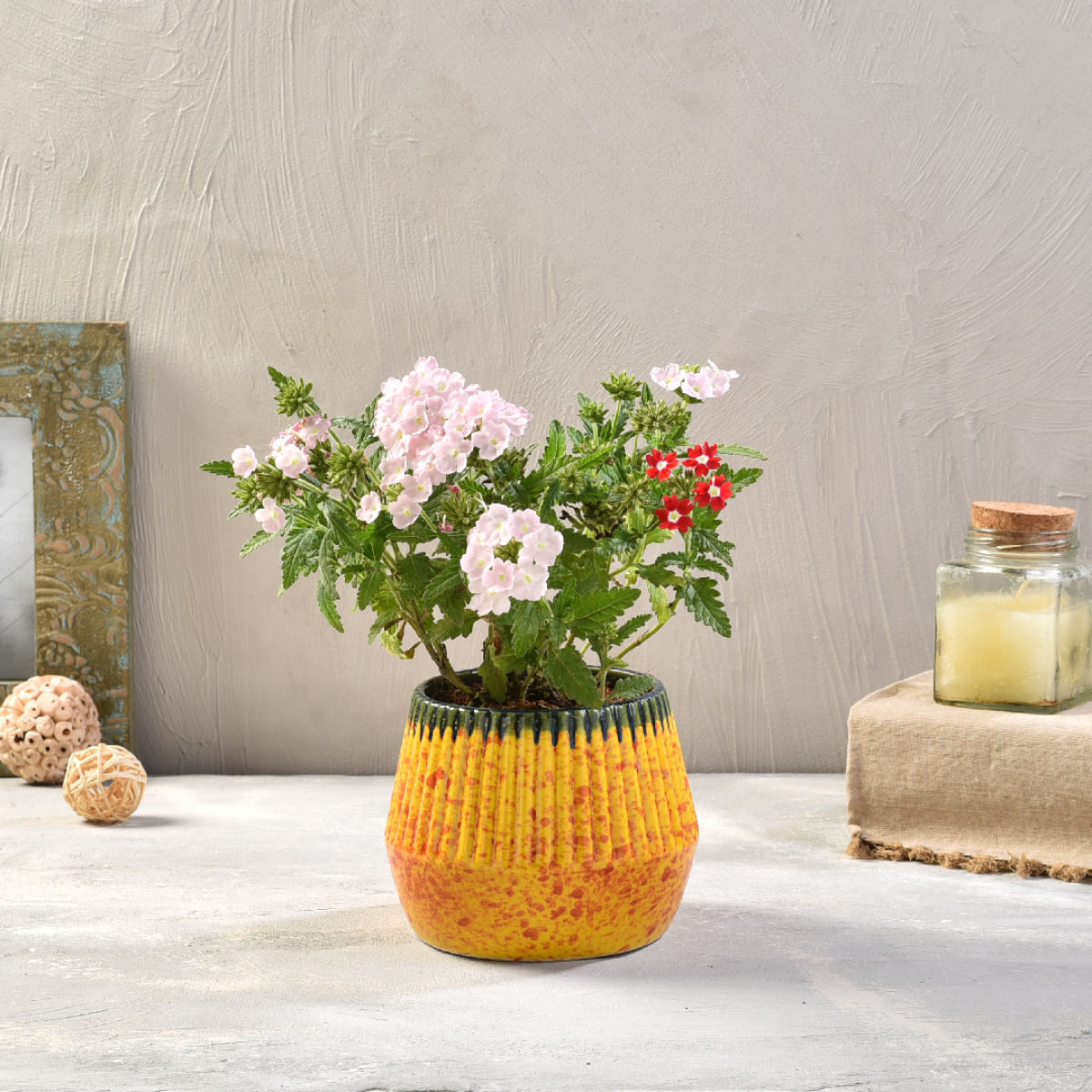 product image5