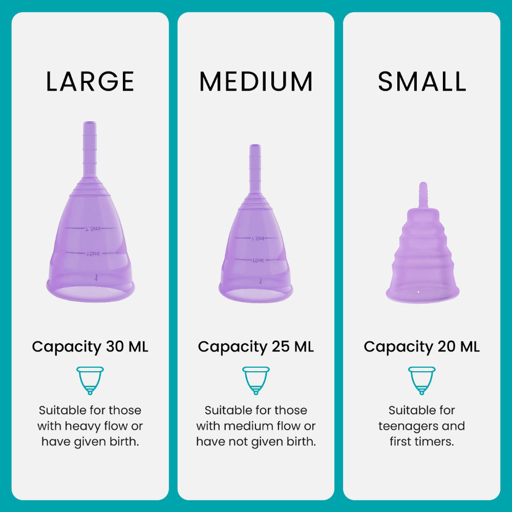 FemiSafe Menstrual Cup (Large) & Sterilization Cup Combo Buy FemiSafe