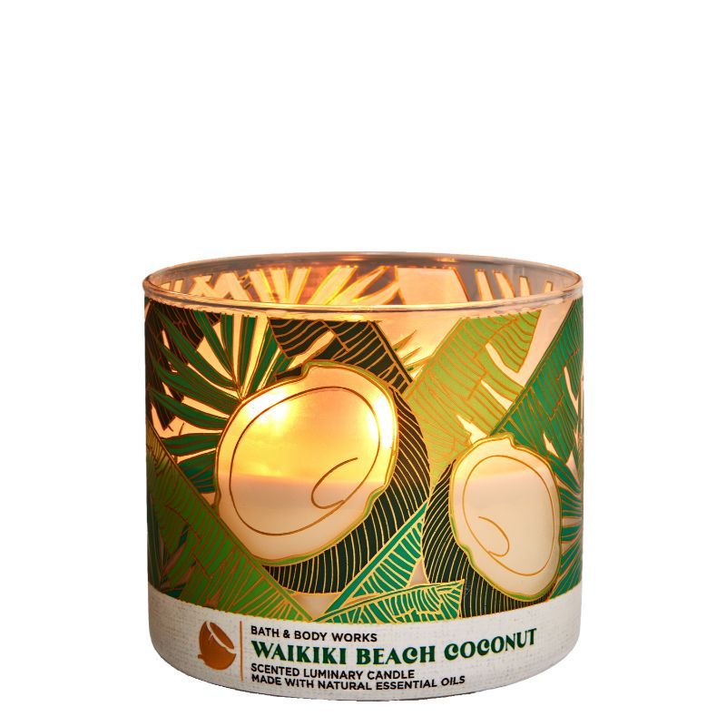 coconut water candle bath and body works