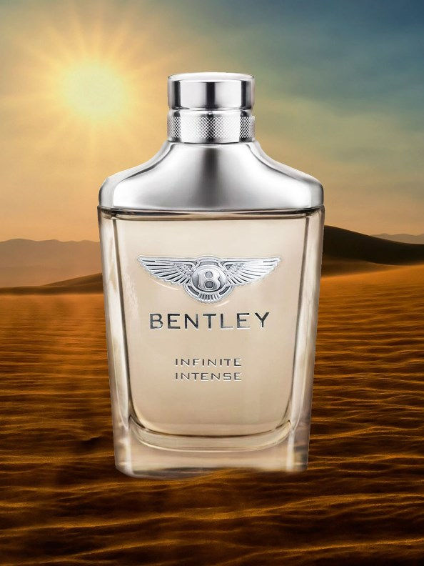 bentley infinite review