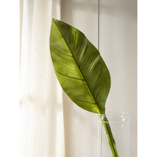 Pure Home + Living Green PU Spray leaf: Buy Pure Home + ...