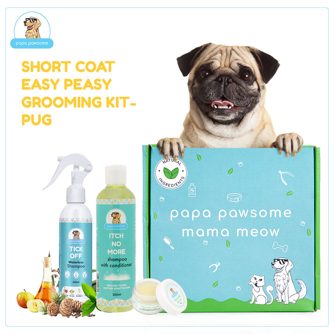 Papa Pawsome Short Coat - Pug - Easy Peasy Grooming Kit