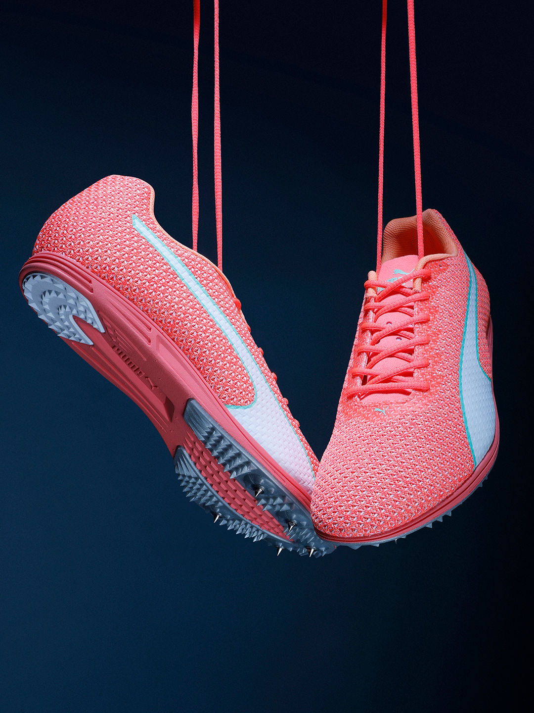 puma evospeed distance 7