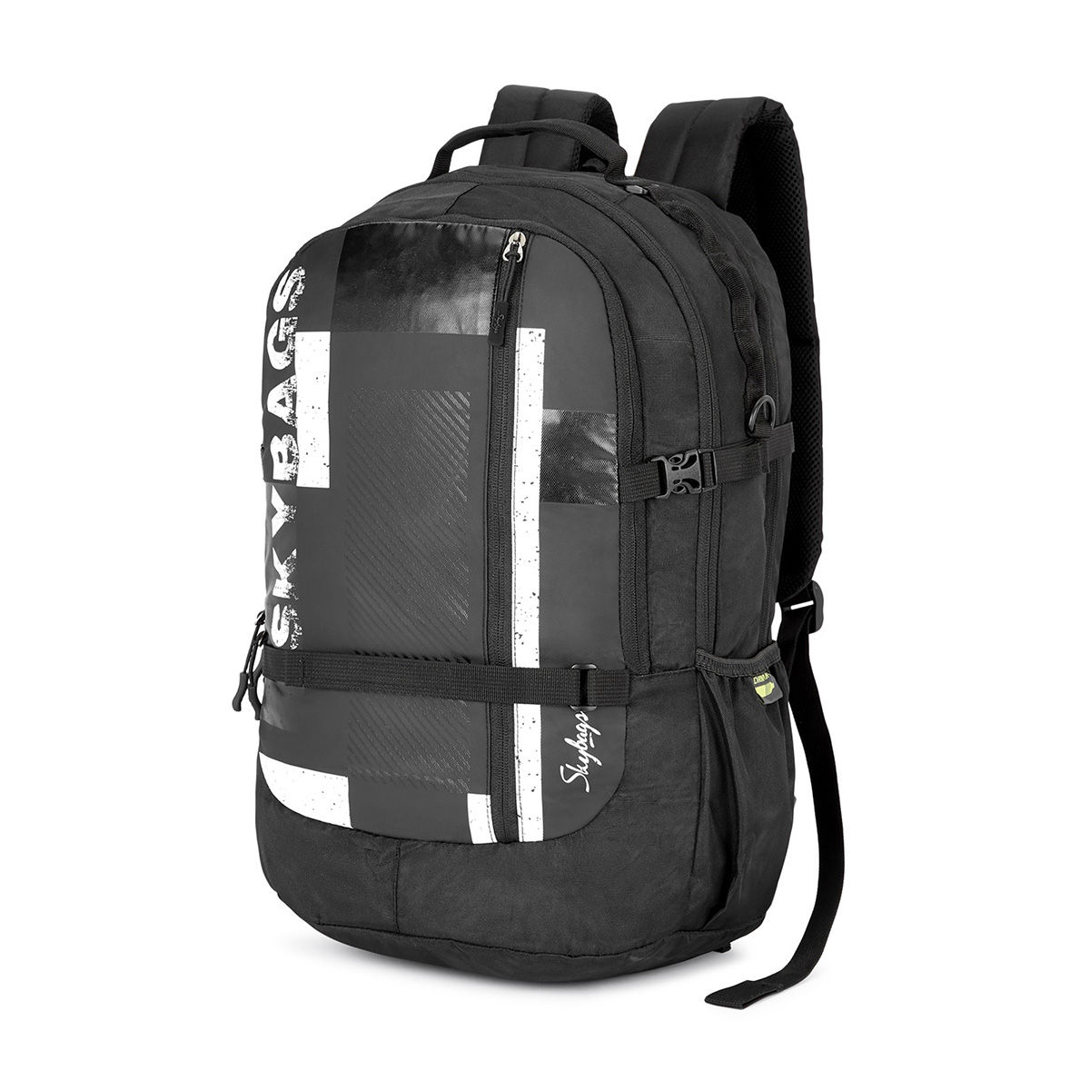 Buy Skybags Campus Plus 02 Laptop Backpack Black (XL) Online