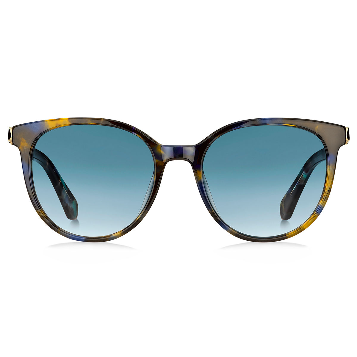 Kate spade new york Women's Taneabb 48mm Tortoise Square Blue Light Reader  Glasses | Hamilton Place