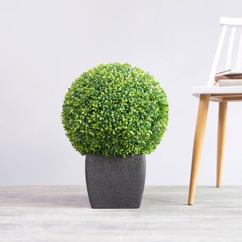 product-image-lens