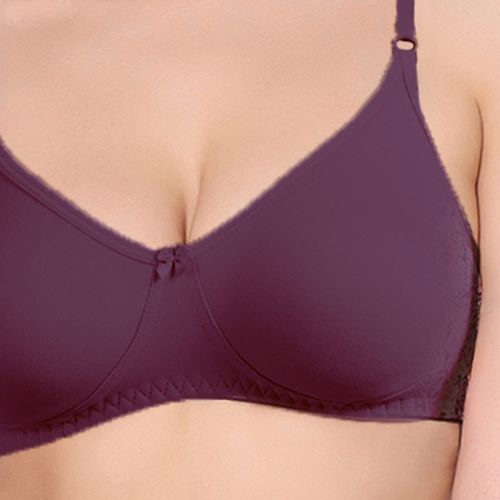 Buy Purple Bras for Women by Groversons Paris Beauty Online