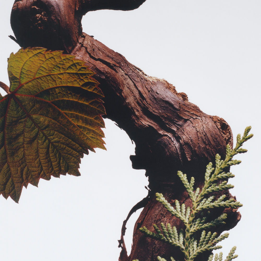 product image7