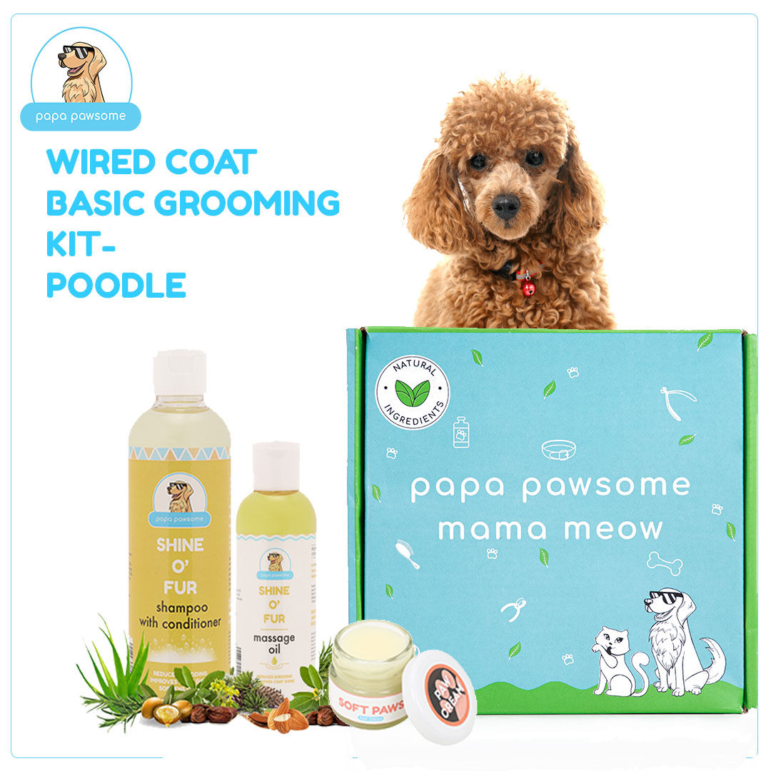 Papa Pawsome Wired/curly Coat- Poodle - Basic Grooming Kit