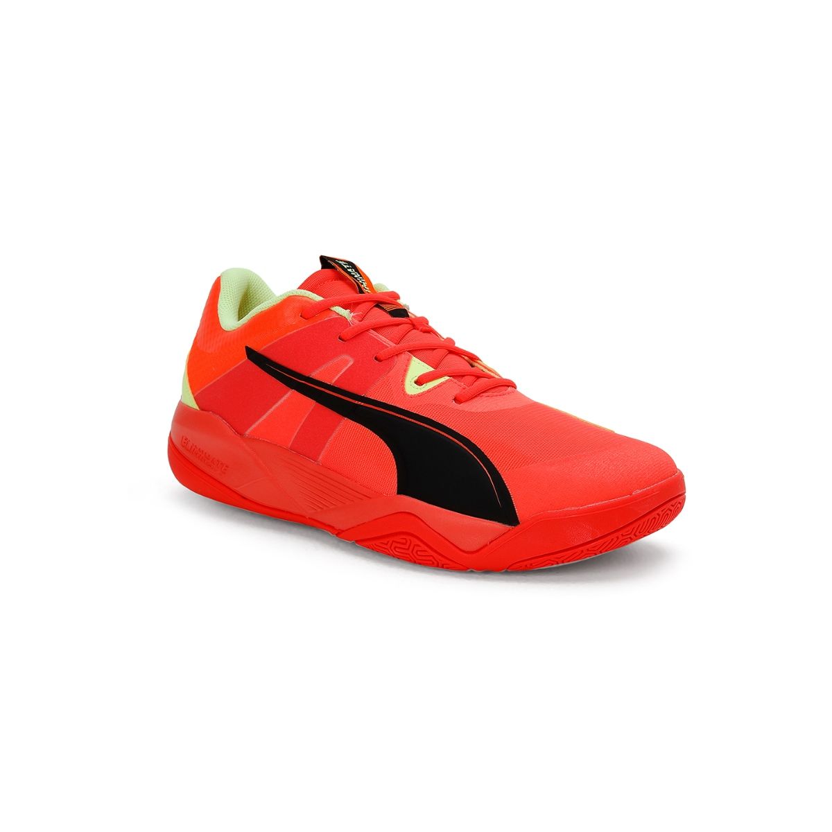 Buy Puma Eliminate Pro Ii Unisex Orange Indoor Sports Shoes Online