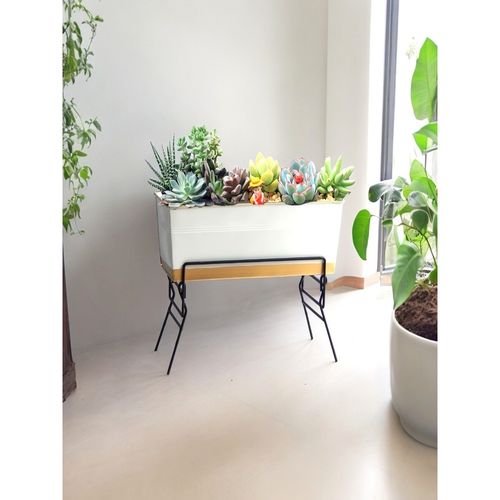 Buy Ecofynd Rectangular Metal Plant Stand for Indoor & Outdoor Pot Online