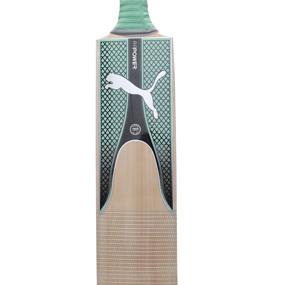 Buy Puma Evo Power Kw 2 Unisex Green Cricket Bat Online