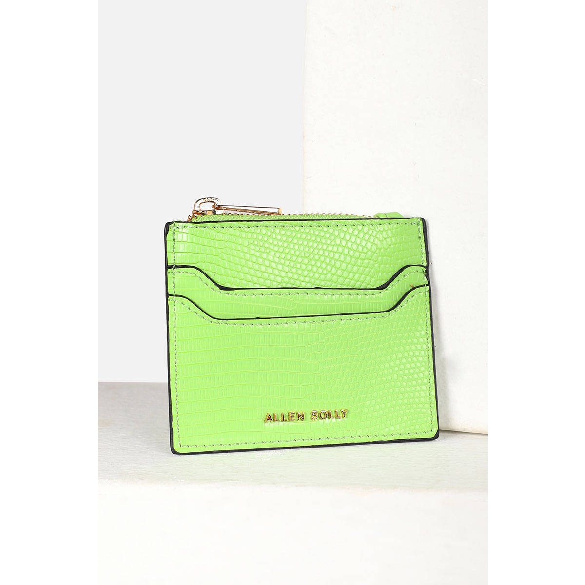 Allen Solly Women Casual Textured Green Pouch