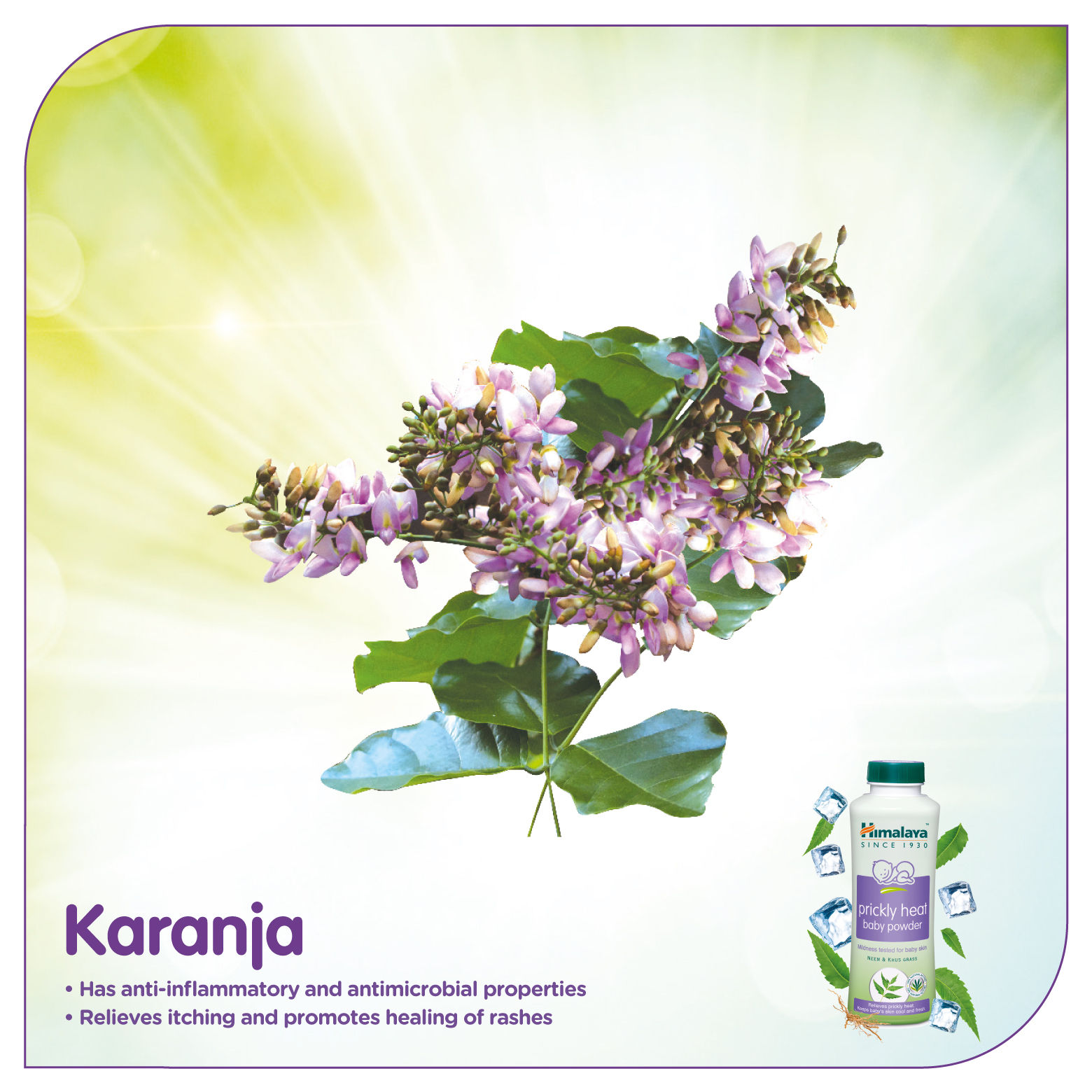 himalaya heat rash powder